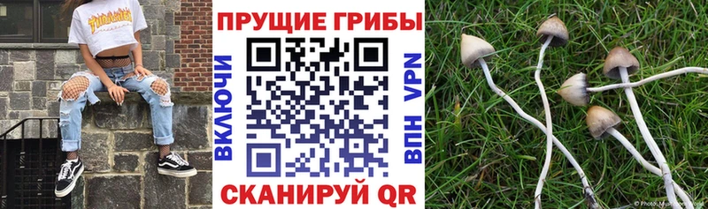 Галлюциногенные грибы ЛСД  купить наркоту  даркнет как зайти  Богучар 